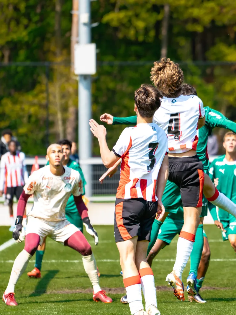 PSV PALMEIRAS U17 - foto 19 van 19