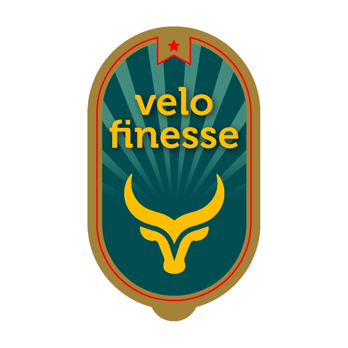 Velofinesse